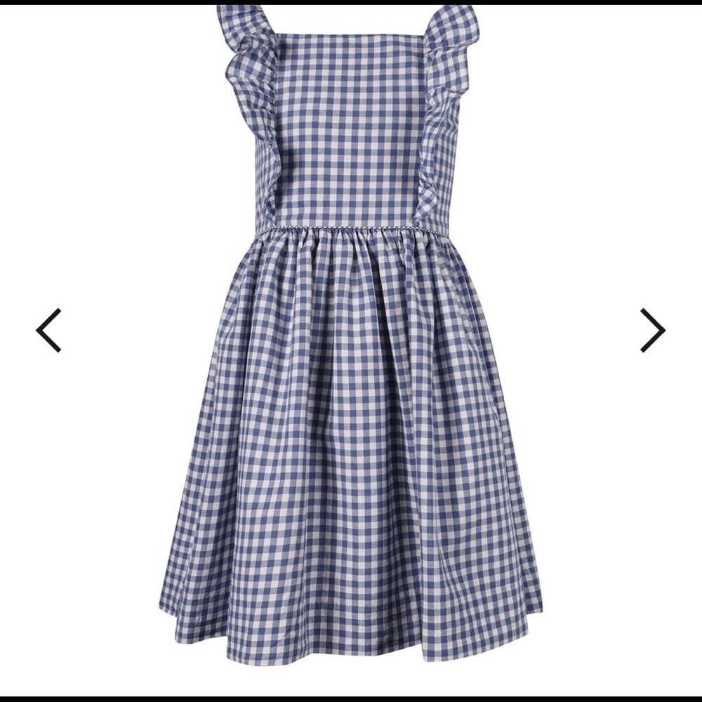 NWT Ralph Lauren gingham ruffle dress